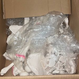 Anatomy lab bones (fake)